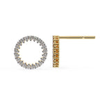 Gold and diamond earring on a white background