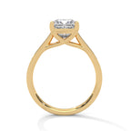2 Carat Princess Daimond Solitaire Accent Engagement Ring