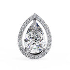 Pear Halo Stud Earrings