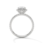 Oval Cut Lab Diamond Halo Solitaire Ring
